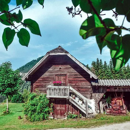 Stoanerhof Apartment *